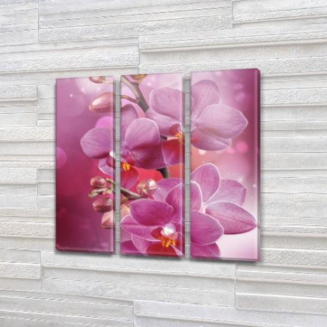 Картина триптих на полотні Казкова орхідея на Полотні син., 65x65 см, (65x20-3)