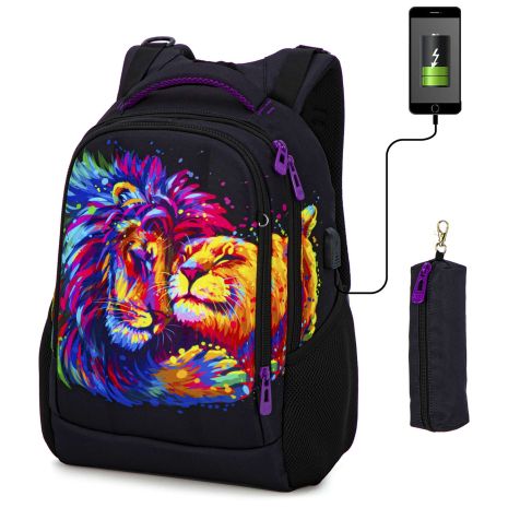 Рюкзак підлітковий для дівчинки 57-29 два відділи USB порт SkyName/(Winner) роз.30*16*40 см чорний