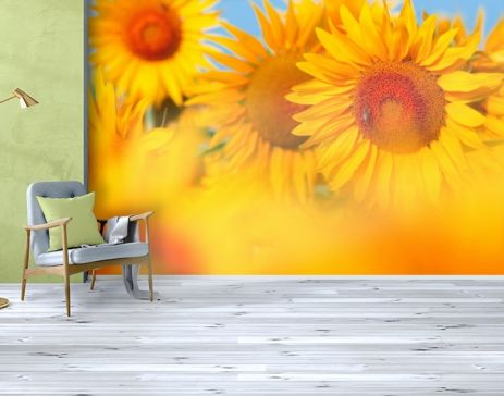 Фотообои текстурированные, виниловые Цветы, 250х380 см, fo01inV_fl10687
