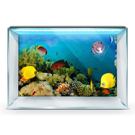 Наклейка в аквариум 3D морское дно, в разных размерах 40х65 см.