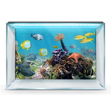 Наклейка с рыбами и морской флорой для аквариума 40х65 см.