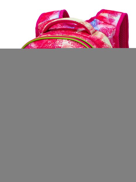 Ранець, шкільний для дівчинки, R1-025 ортопедична спинка SkyName (Winner) розмір 37*30*16 см,рожевий