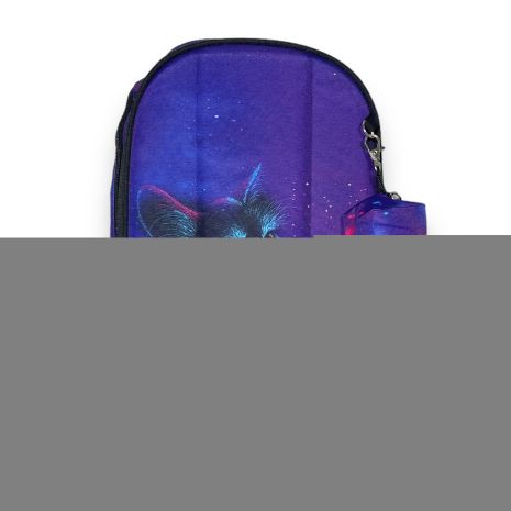 Шкільний рюкзак ZhiHuiShenTong з пеналом, напівкаркасний, два відділення, розмір 37*27*15см, фіолетовий з котом