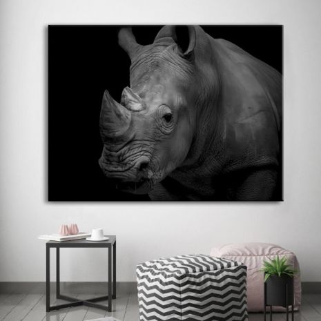 Картина на холсте "Носорог" печать 50х50см