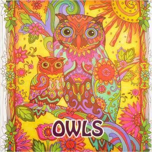 OWLS розмальовка антистрес Сова