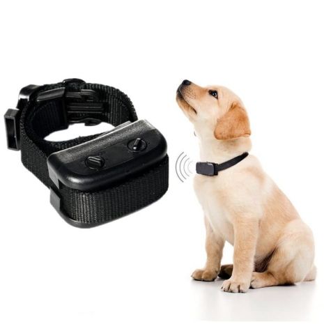 Електронний нашийник антилай для собак PetTrainer H-166, акумуляторний, водонепроникний