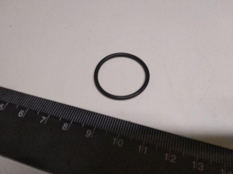 Кольцо уплотнительное мбс к/с 23,5 х 1,9 мм (024-027-19)