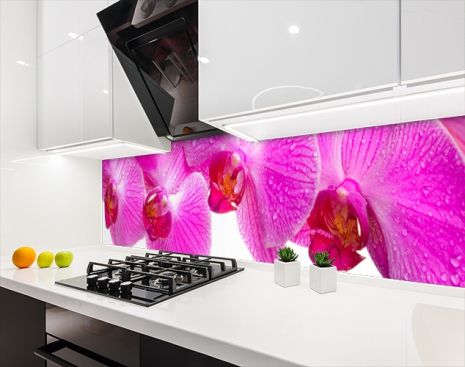 Наклейка на кухонный фартук 60 х 300 см, фотопечать с защитной ламинацией Орхидеи розовые (БП-s_fl11611-3)