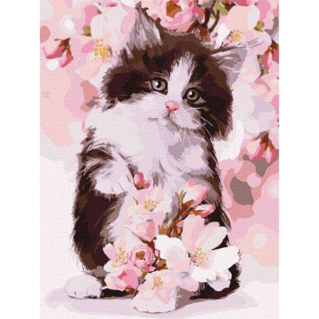 Картина по номерам - Пушистый котенок Ideyka 30х40 см (KHO4383)