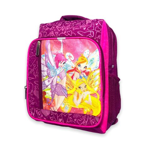 Шкільний рюкзак для дівчинки Bagland 1127006 два відділи додаткові кишені троянд.35*25*15 рожевий