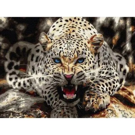 Алмазна мозаїка Погляд леопарду 40х50 см ColorArt SP052
