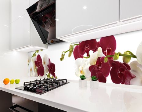 Наклейка на кухонный фартук 65 х 300 см, фотопечать с защитной ламинацией Орхидеи на ветке (БП-s_fl11730-4)