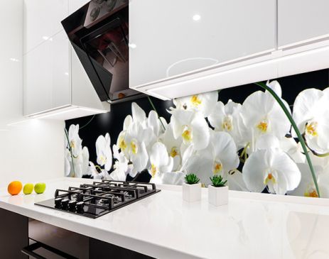 Наклейка на кухонний фартух 60 х 200 см, фотодрук із захисною ламінацією білі орхідеї, квіти (БП-s_fl11708)