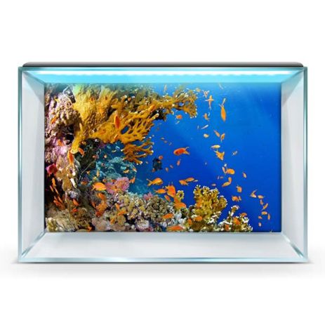 Морской мир под водой на наклейке для аквариума 40х65 см.