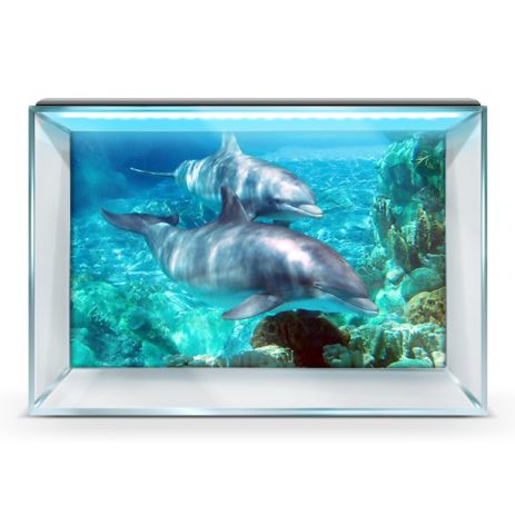 Морская фауна на наклейке в аквариум, в наличии и под заказ 40х65 см.