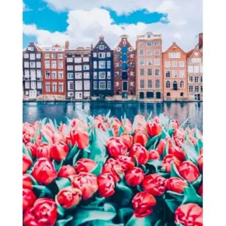 Алмазная мозаика Город в тюльпанах 40х50 см ColorArt SP098