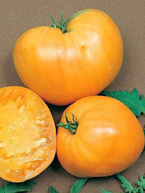 Семена томатов (помидор) Воловье Сердце Золотое