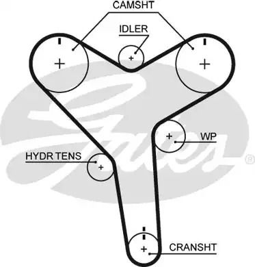 Ремень зубчатый ГРМ LEXUS ES, TOYOTA AVALON, GATES (T257)