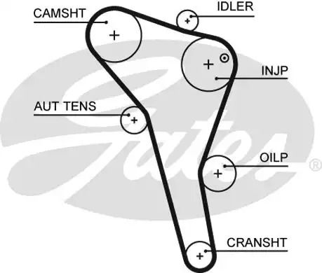 Ремінь зубчастий ГРМ FORD GALAXY, VW CADDY, GATES (5622XS)