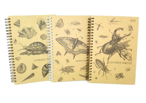 Блокнот "Insects", бок. пружина, А5, 50 арк., еко папір, ТМ Колорит, Україна