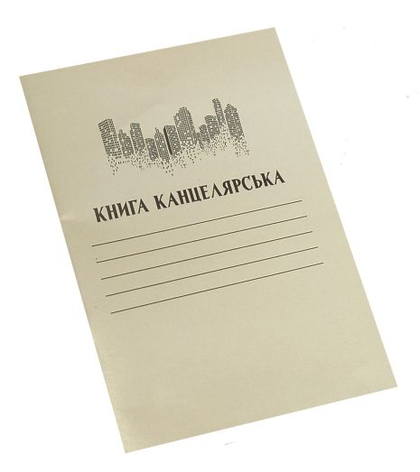 Книга канцелярська 48арк. клітинка, 28*20см, ТМ Колорит, Україна