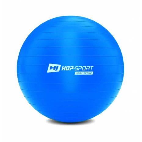 Фітбол Hop-Sport 65cm HS-R065YB blue + насос