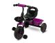 Дитячий триколісний велосипед Caretero (Toyz) Loco Purple