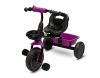 Дитячий триколісний велосипед Caretero (Toyz) Loco Purple