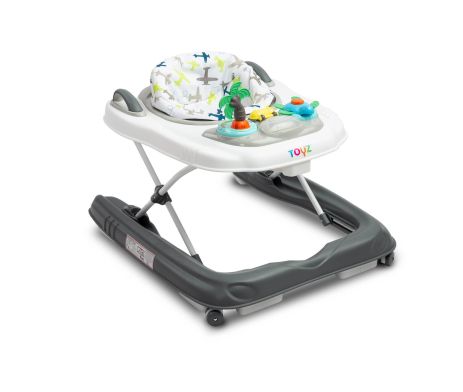 Детские ходунки 2 в 1 Caretero (Toyz) Surf Fly