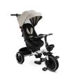 Дитячий триколісний велосипед Caretero (Toyz) Dash Grey