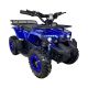 Квадроцикл акумуляторний FORTE ATV1000RB синій