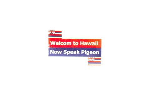 Наклейка на номер WELCOM TO HAWAII (8x8см)