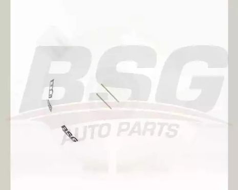 Бачок расширительный радиатора Caddy 04-/Golf 04-13/Jetta 06-/Passat 05-, BSG (BSG90550006)