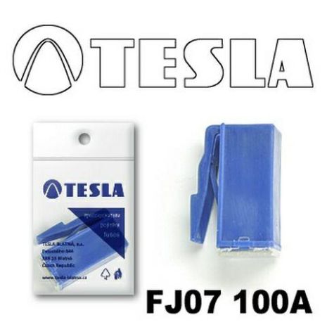 Предохранитель TESLA FJ07 "CARTRIDGE" 100A (TS FJ07 100A)