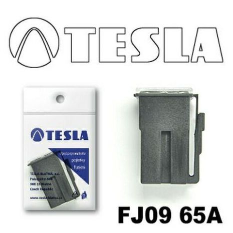 Запобіжник TESLA FJ09 "CARTRIDGE" 65A (TS FJ09 65A)