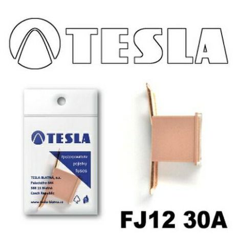 Предохранитель TESLA FJ12 "CARTRIDGE" 30A (TS FJ12 30A)