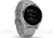 Умные часы Smart Watch Garmin Vivoactive 4S Powder Gray/ Silver (010-02172-03)