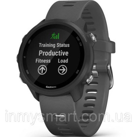 Умные часы Smart Watch Garmin Forerunner 245 Slate Gray (010-02120-00)