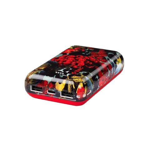 Універсальна мобільна батарея Ttec 10000mAh ArtPower Raspberry (2BB188AH)