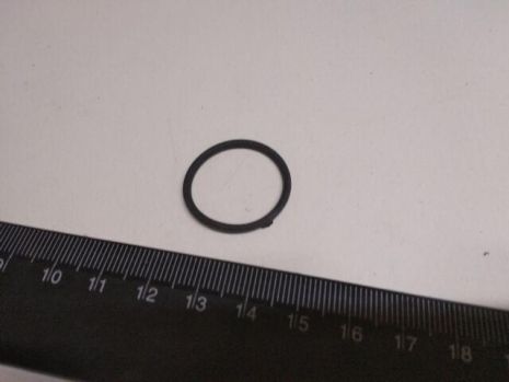 Кільце ущільнювальне МБС к/с 21,5 х 1,9 мм (022-025-19)