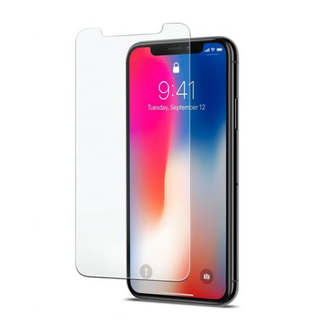 Захисне скло PowerPlant для Apple iPhone X