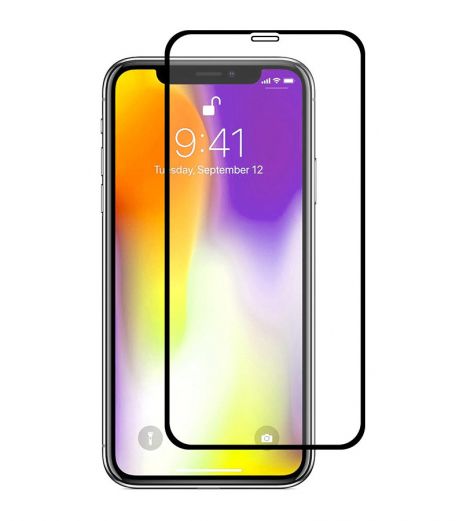 Захисне скло Full screen PowerPlant для Apple iPhone XS, Black